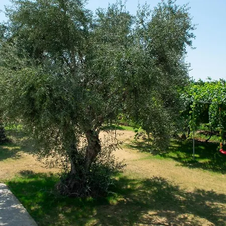 A Wonderful Relaxing Place. View. Romantic Sunset Holiday home Douneika (Amaliada)